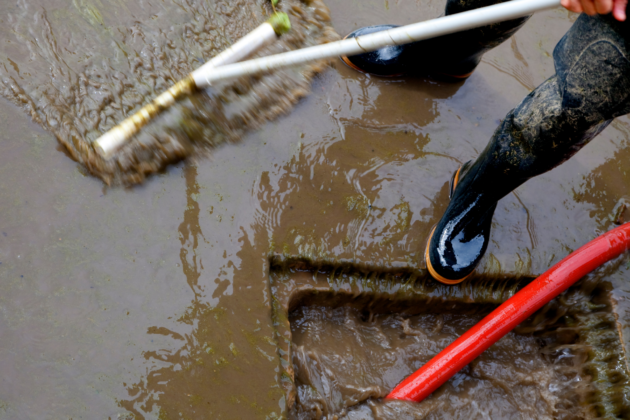 Core Blog Post Size (3)